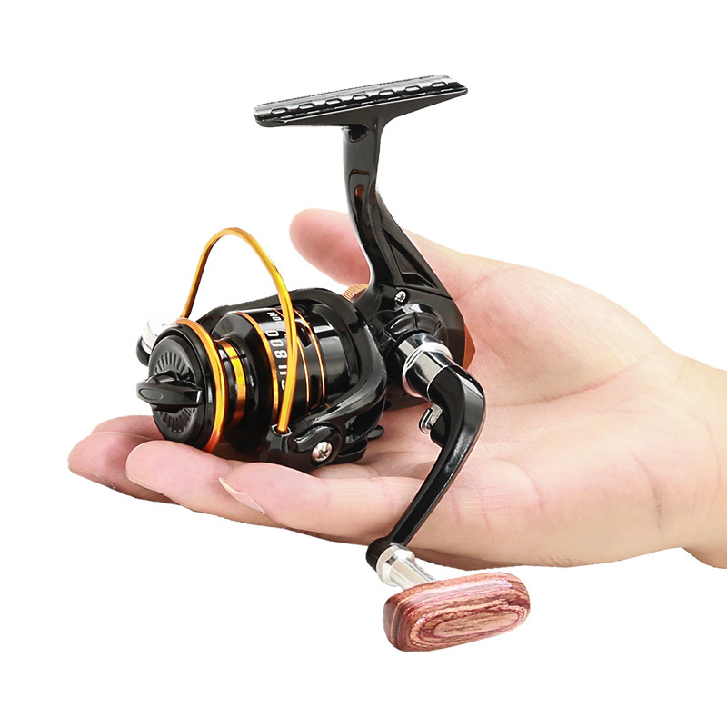 Daiwa Reel Bg - 800er Serie Kleine Spinnrolle mit Metallspule,