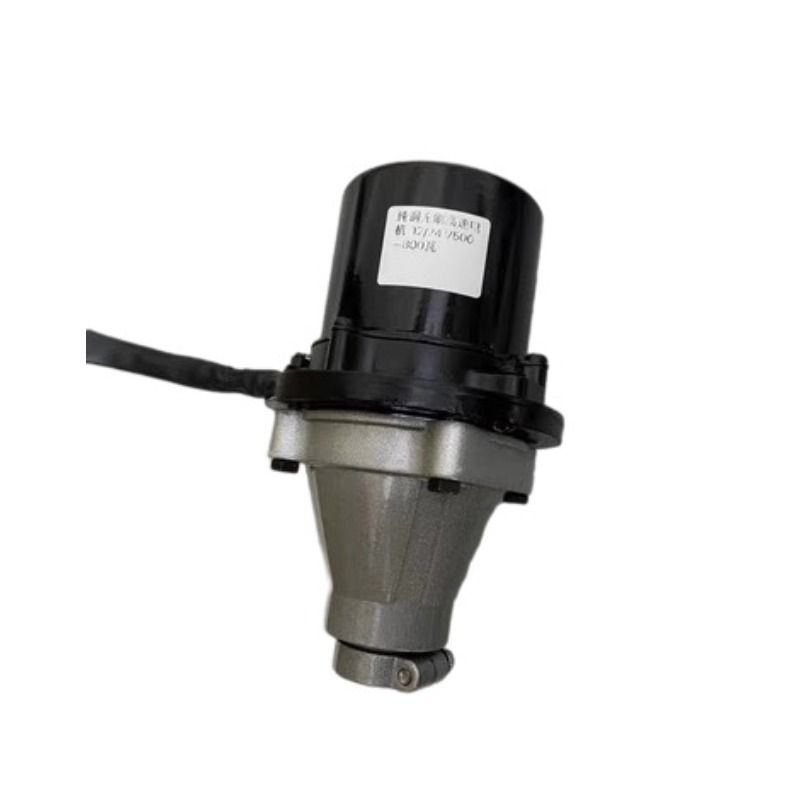 12V-60V 500W-1500W Bürstenlose – Fishing Boat Outboard Motor Bewertung und Preis